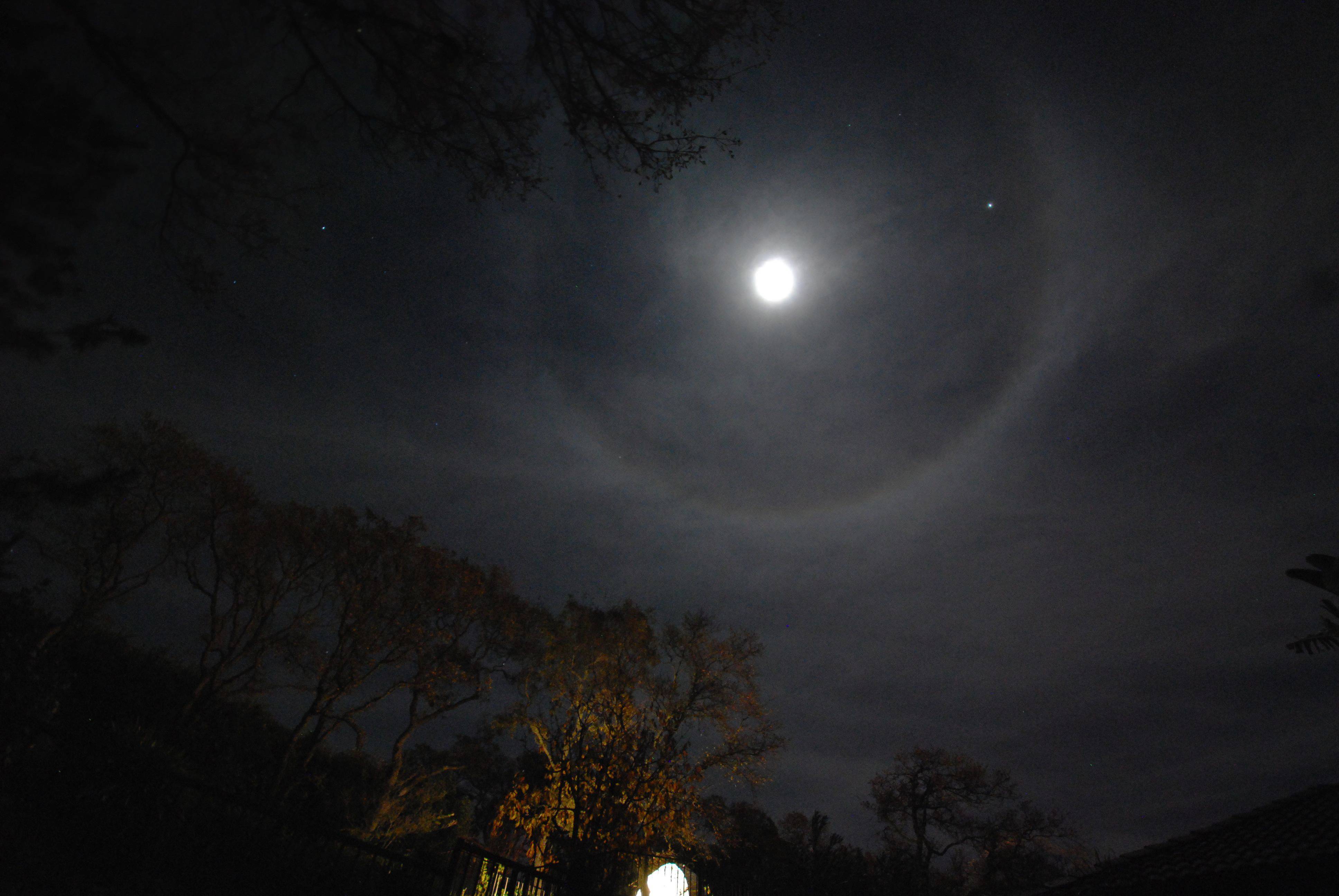 Lunar Halo HORIZ